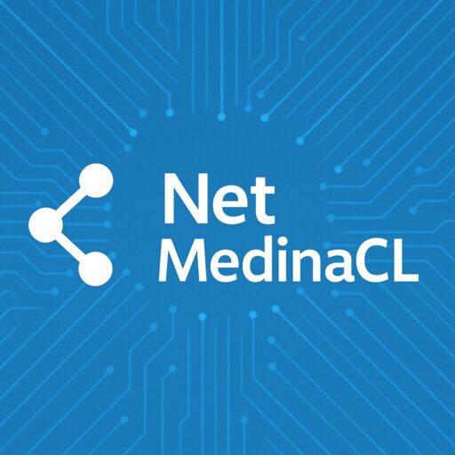 Consultoria y Servicios NetmedinaCL